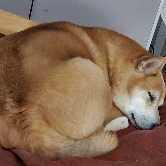 Meet your Posher, May - Picture 1 of 1